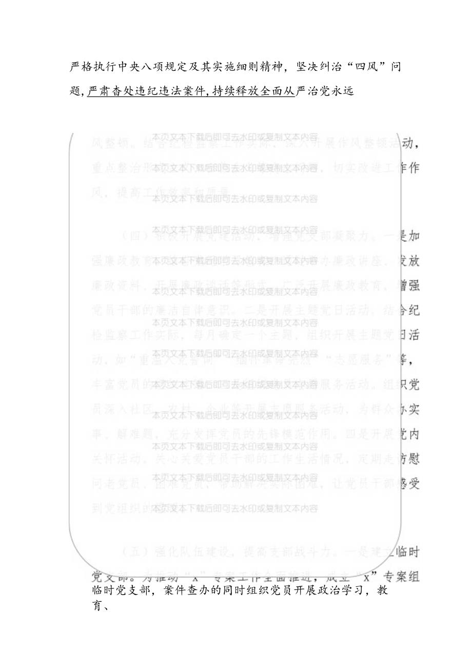 2024年党支部党建工作总结和下一步计划.docx_第3页