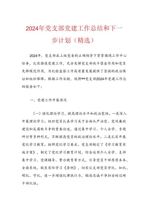 2024年党支部党建工作总结和下一步计划.docx