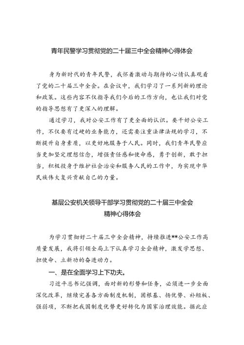 青年民警学习贯彻党的二十三中全会精神心得体会8篇（精选版）.docx