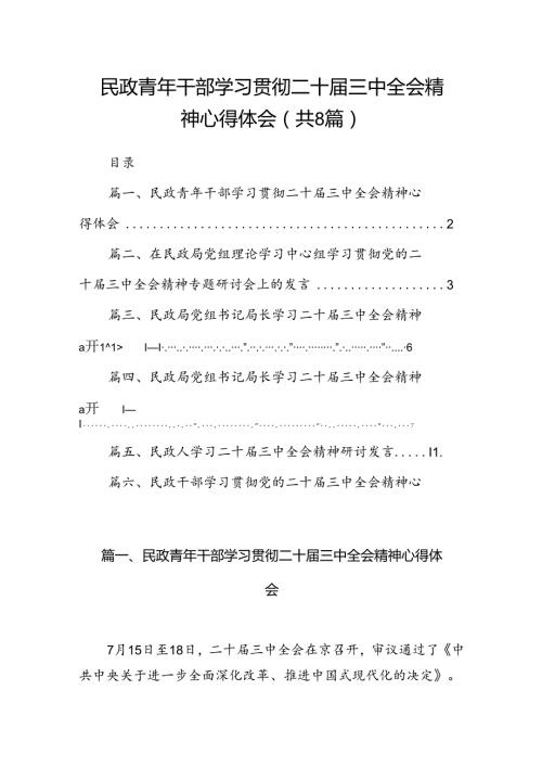 （8篇）民政青年干部学习贯彻二十三中全会精神心得体会（精选）.docx