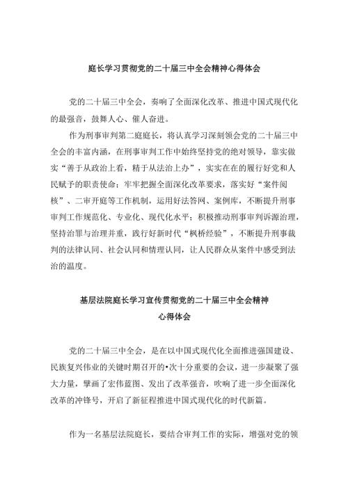 （11篇）庭长学习贯彻党的二十三中全会精神心得体会（精选）.docx