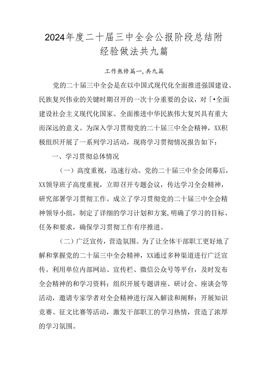 2024二十三中全会公报阶段总结附经验做法共九篇.docx_第1页