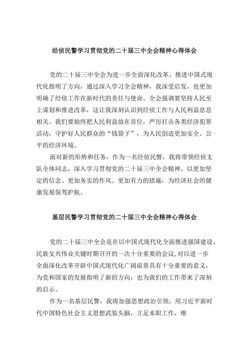 （11篇）经侦民警学习贯彻党的二十三中全会精神心得体会汇编.docx