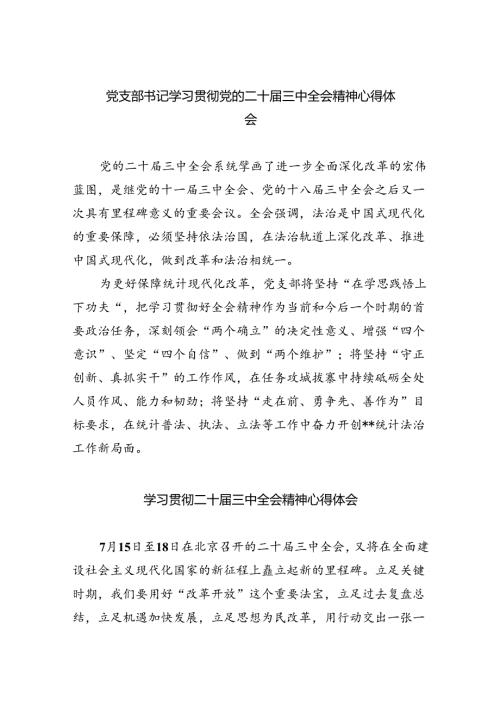 （9篇）党支部书记学习贯彻党的二十三中全会精神心得体会（精选）.docx
