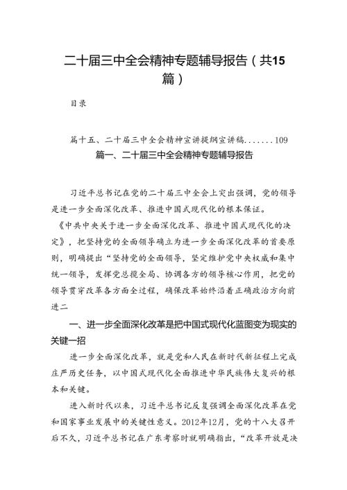 （15篇）二十三中全会精神专题辅导报告集锦.docx