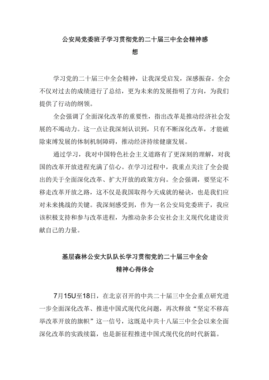 （11篇）公安队伍党员干部学习贯彻党的二十三中全会精神心得体会（最新版）.docx_第3页