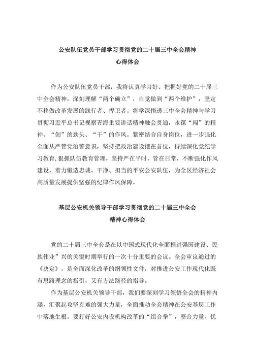 （11篇）公安队伍党员干部学习贯彻党的二十三中全会精神心得体会（最新版）.docx