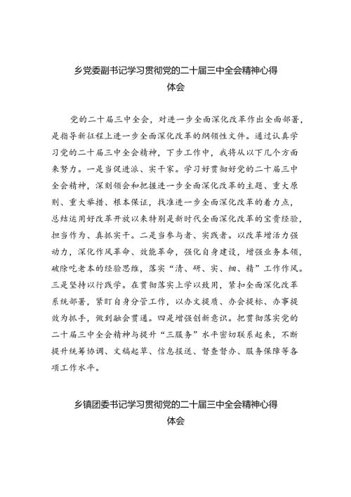 （9篇）乡党委副书记学习贯彻党的二十三中全会精神心得体会（最新版）.docx