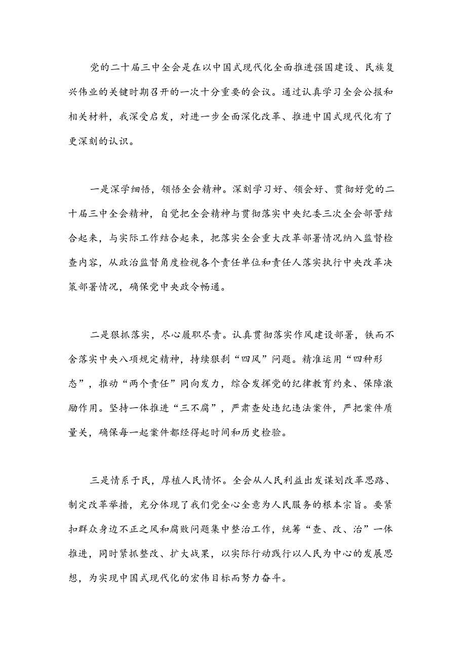 （10篇）纪检干部学习二十三中全会研讨发言材料.docx_第3页