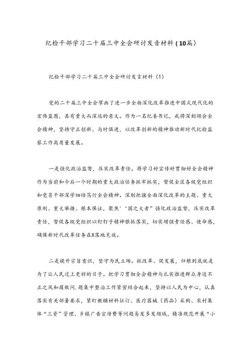 （10篇）纪检干部学习二十三中全会研讨发言材料.docx