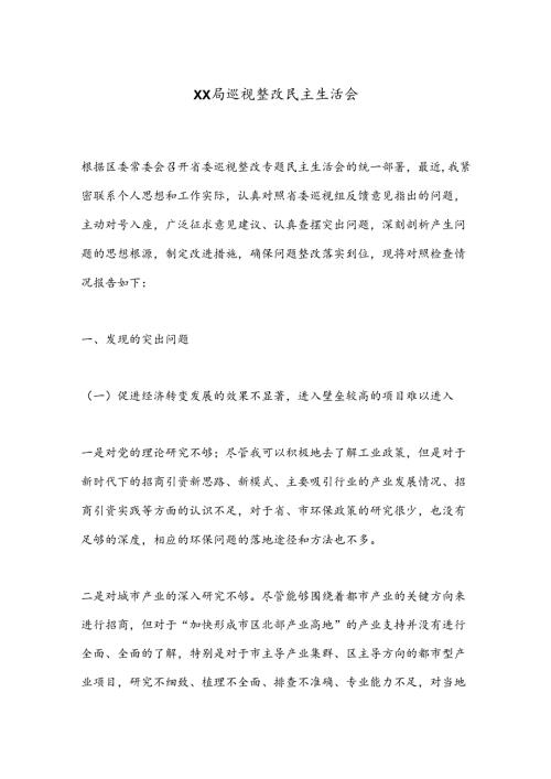 XX局巡视整改民主生活会.docx