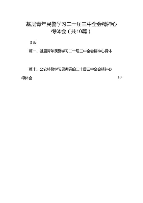 （10篇）基层青年民警学习二十三中全会精神心得体会范文.docx