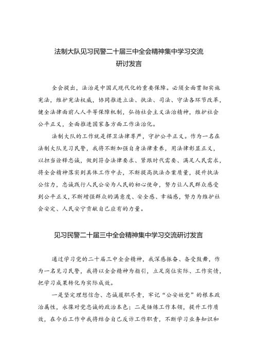 （9篇）法制大队见习民警二十三中全会精神集中学习交流研讨发言（详细版）.docx