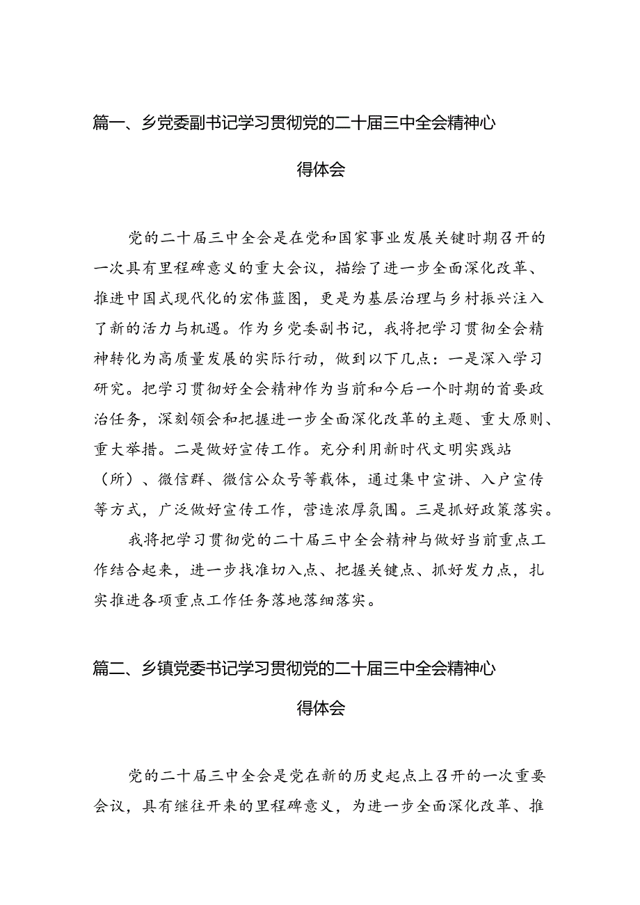 乡党委副书记学习贯彻党的二十三中全会精神心得体会12篇（精选）.docx_第2页