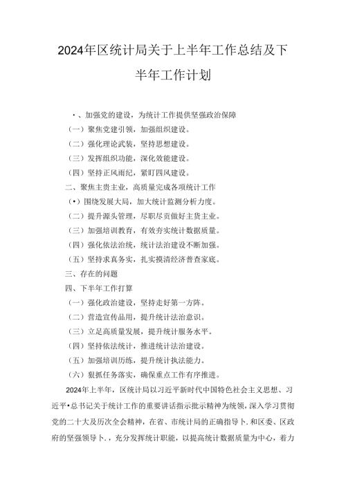 2024年区统计局关于上半年工作总结及下半年工作计划两篇.docx
