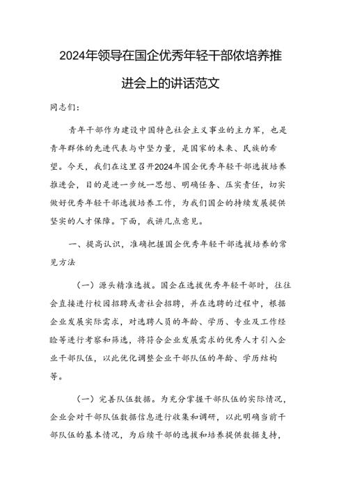 2024年领导在国企优秀年轻干部选拔培养推进会上的讲话范文.docx