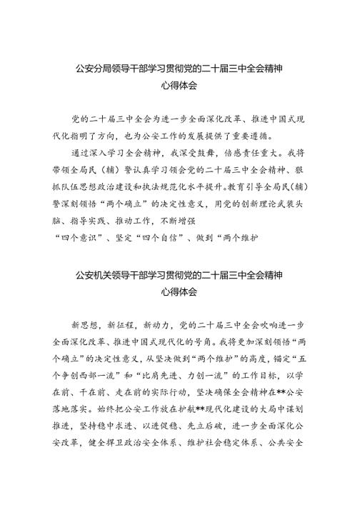 公安分局领导干部学习贯彻党的二十三中全会精神心得体会8篇供参考.docx