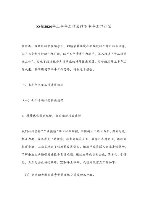 XX镇2024年上半年工作总结下半年工作计划.docx