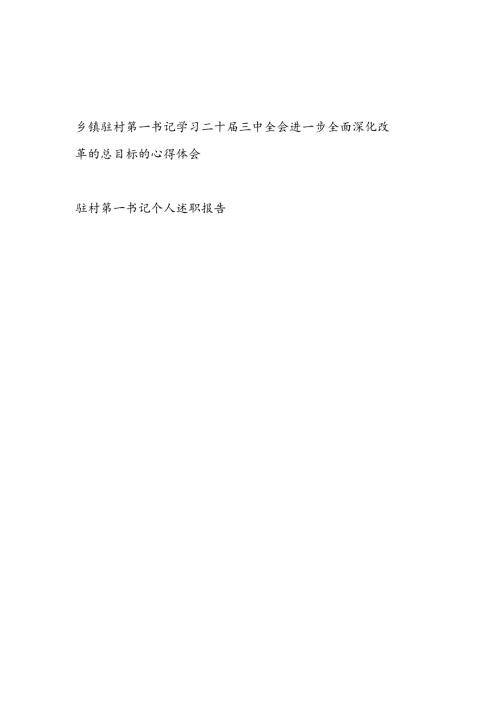 乡镇驻村第一书记学习二十三中全会进一步全面深化改革的总目标的心得体会和驻村第一书记个人述职报告.docx