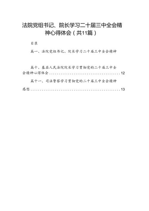 （11篇）法院党组书记、院长学习二十三中全会精神心得体会（精选）.docx