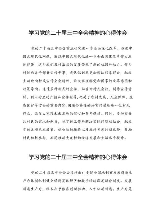 2024年学习二十三中全会的心得体会精品四十篇.docx