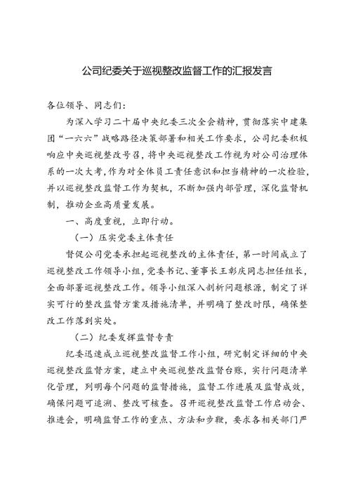 2024年公司纪委关于巡视整改监督工作的汇报发言.docx