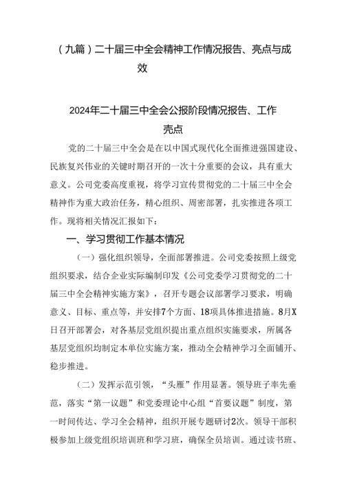 （九篇）二十三中全会精神工作情况报告、亮点与成效.docx