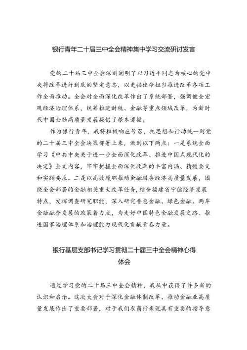 （9篇）银行青年二十三中全会精神集中学习交流研讨发言（精选）.docx