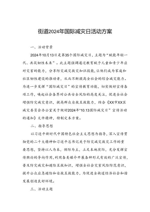 街道办事处开展2024年国际减灾日的活动方案.docx