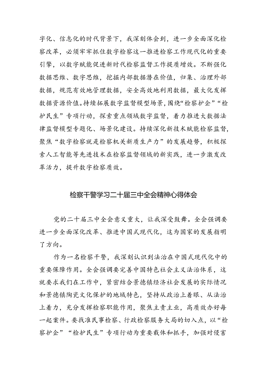 基层检察长学习二十三中全会精神研讨发言（共8篇）.docx_第2页