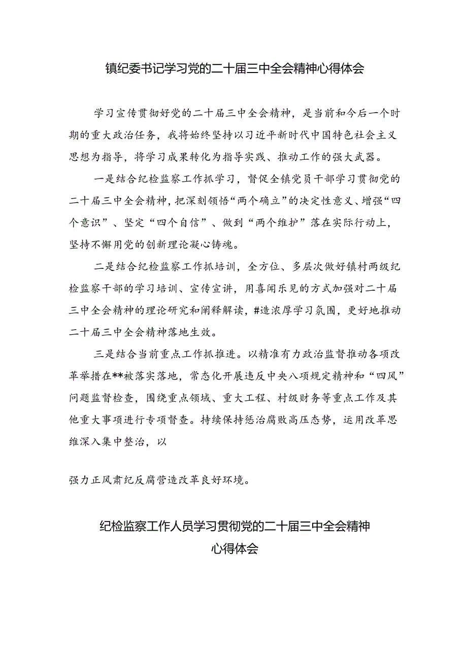 （9篇）纪委书记学习二十三中全会专题研讨发言范文.docx_第2页