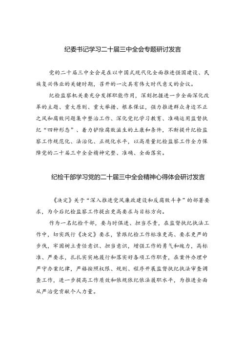 （9篇）纪委书记学习二十三中全会专题研讨发言范文.docx