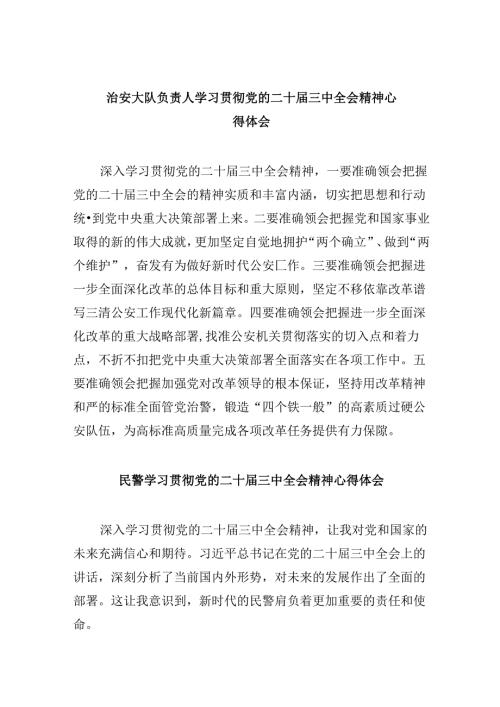 （11篇）治安大队负责人学习贯彻党的二十三中全会精神心得体会范文.docx