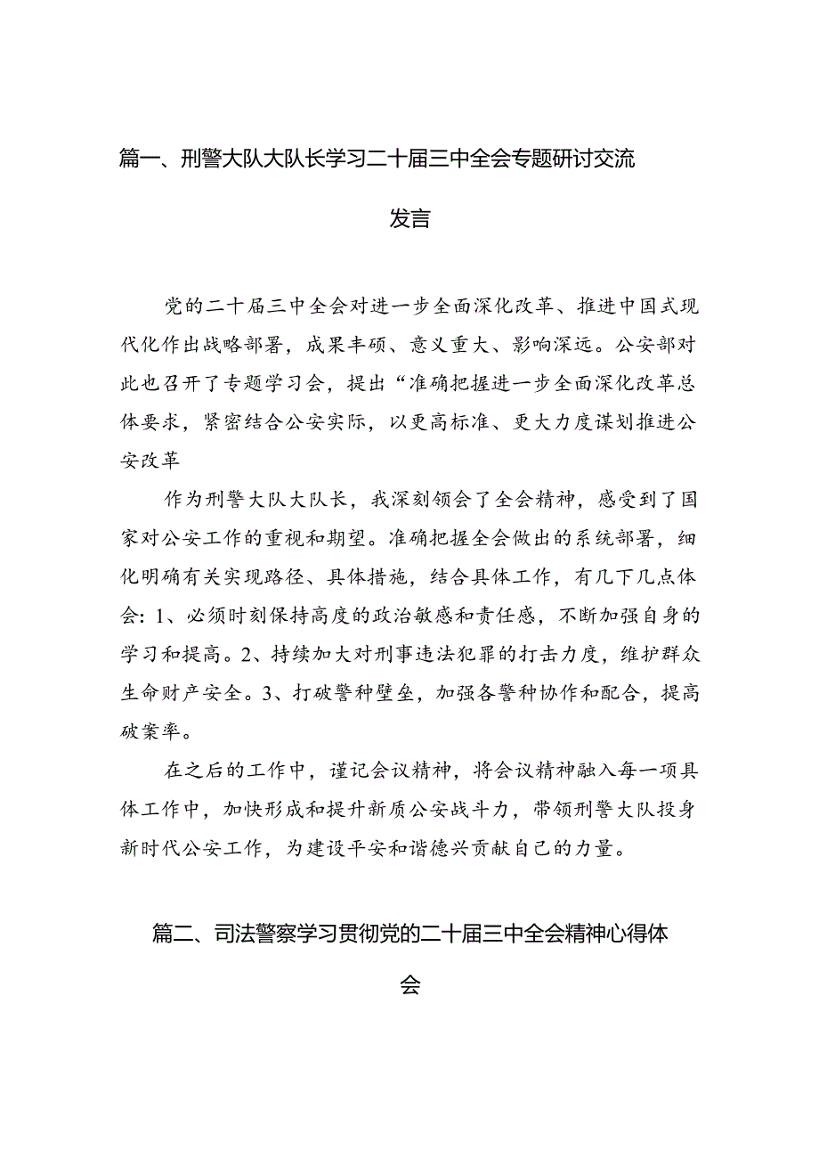 （11篇）刑警大队大队长学习二十三中全会专题研讨交流发言（详细版）.docx_第2页