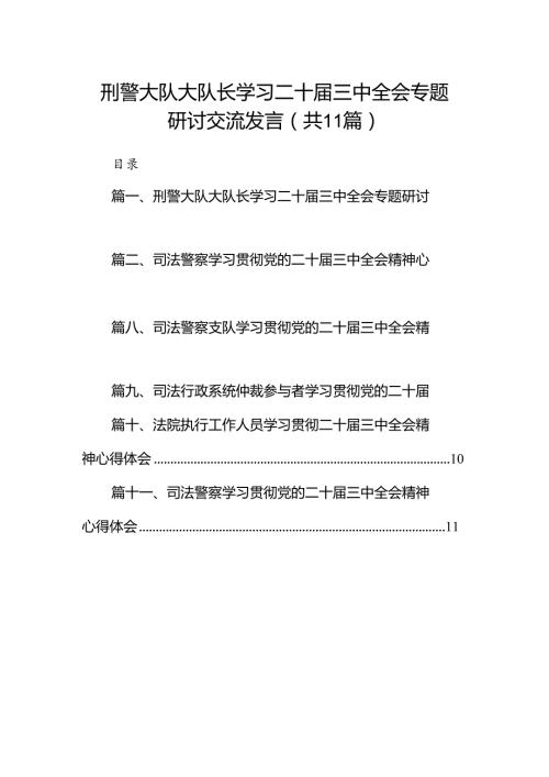 （11篇）刑警大队大队长学习二十三中全会专题研讨交流发言（详细版）.docx