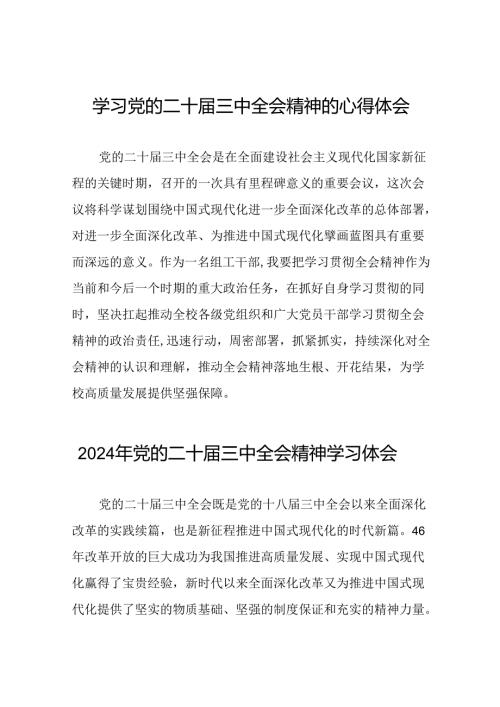 2024年党的二十三中全会精神学习体会四十四篇.docx