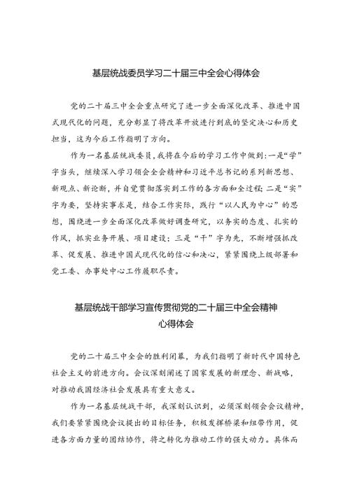 （9篇）基层统战委员学习二十三中全会心得体会范文.docx