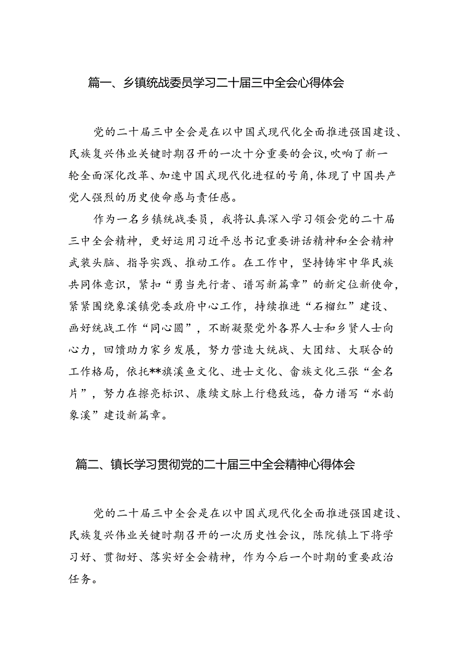 乡镇统战委员学习二十三中全会心得体会7篇（详细版）.docx_第2页