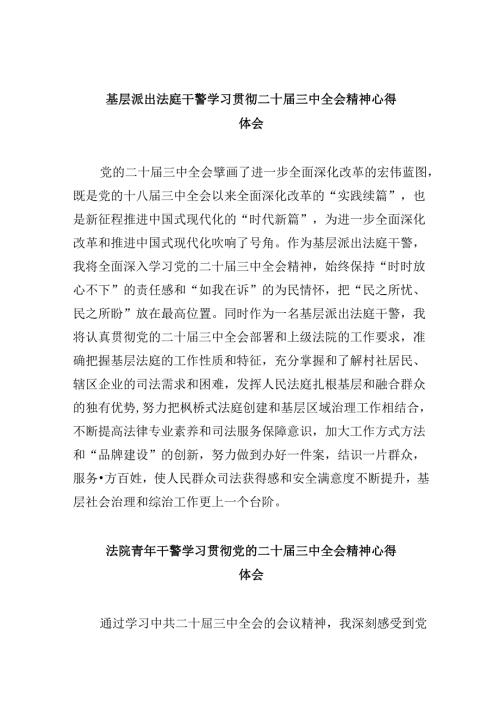 （12篇）基层派出法庭干警学习贯彻二十三中全会精神心得体会（详细版）.docx