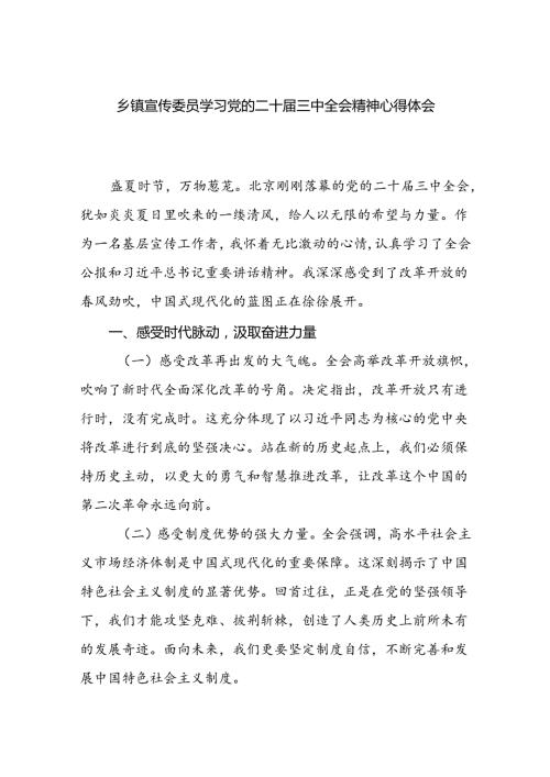乡镇宣传委员学习党的二十三中全会精神研讨发言心得体会.docx