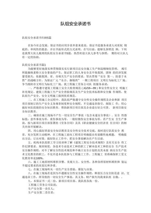队组安全承诺书.docx