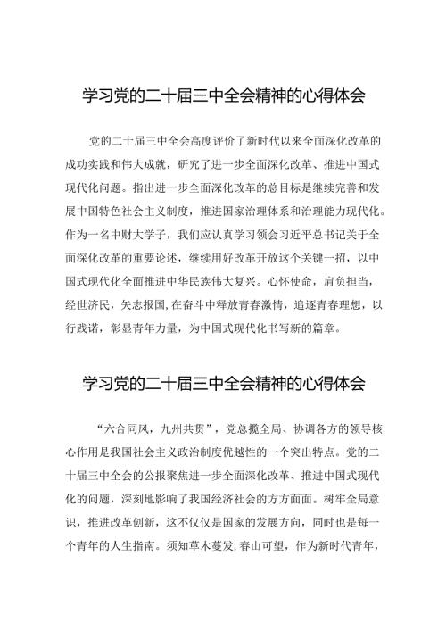 二十三中全会精神心得体会简要讲话三十五篇.docx