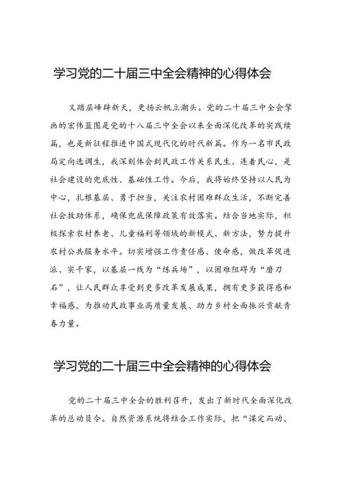 2024年党的二十三中全会精神学习感悟合集四十篇.docx