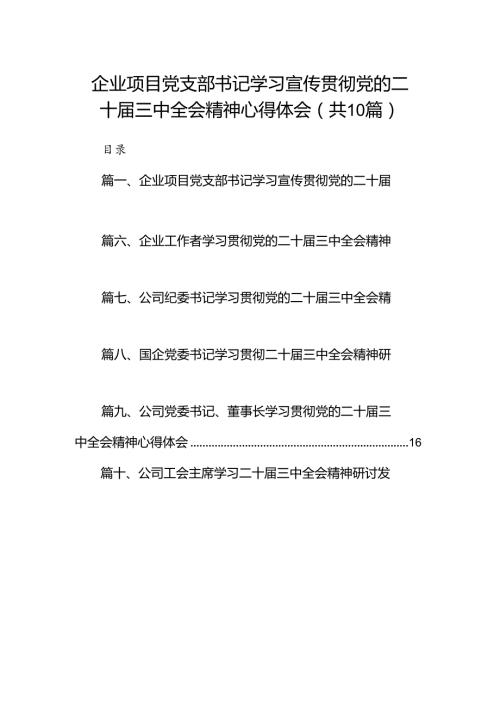 （10篇）企业项目党支部书记学习宣传贯彻党的二十三中全会精神心得体会范文.docx