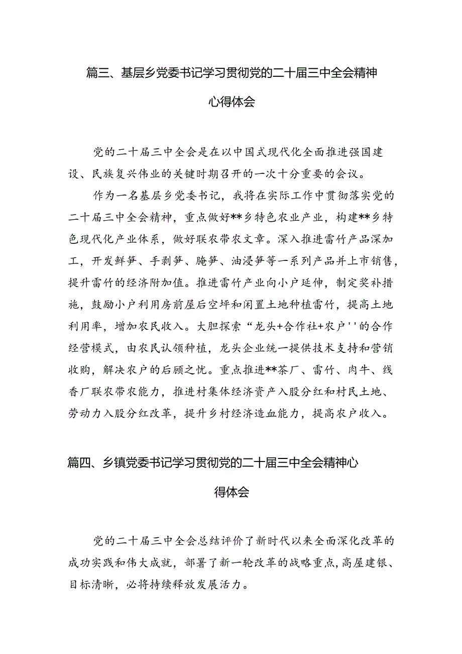 （11篇）乡镇纪检监察干部学习贯彻二十三中全会精神心得体会（详细版）.docx_第2页