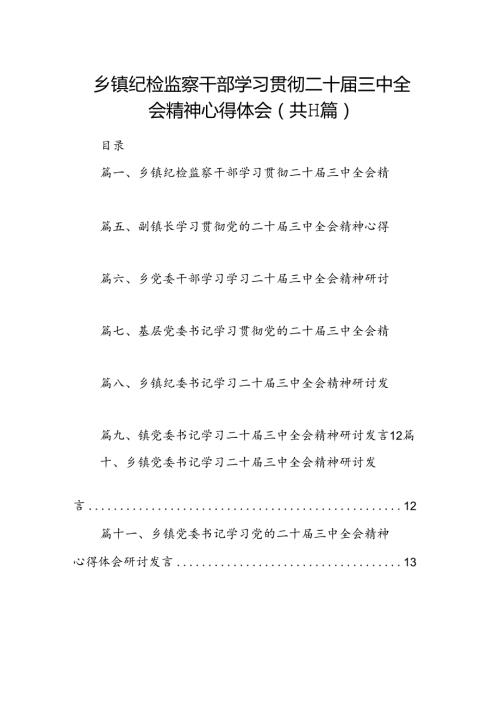 （11篇）乡镇纪检监察干部学习贯彻二十三中全会精神心得体会（详细版）.docx