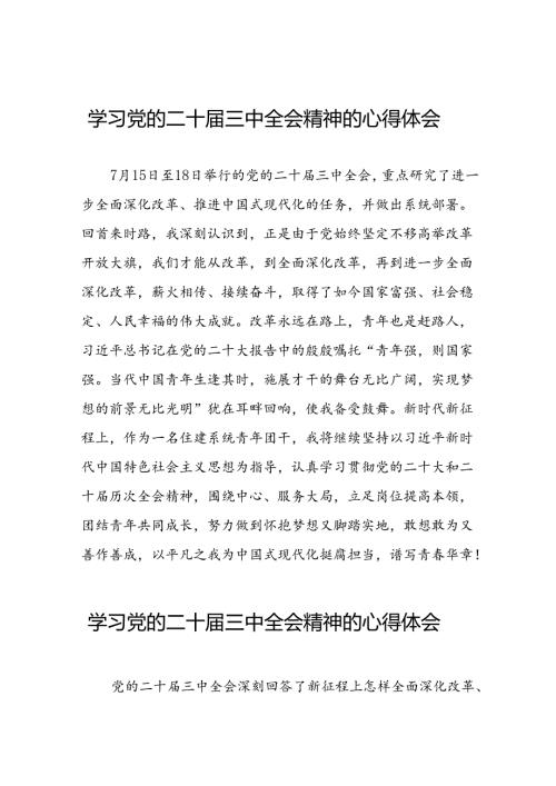 党员干部二十三中全会精神学习体会最新版四十篇.docx
