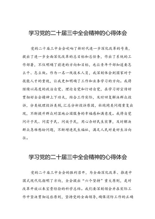 精品范文2024年党的二十三中全会精神学习体会交流发言稿33篇.docx