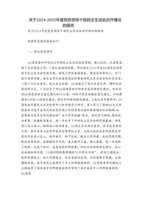 关于20242025党员领导干部民主生活会召开情况的报告.docx