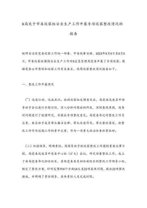 X局关于市委巡察组安全生产工作开展专项巡察整改情况的报告.docx